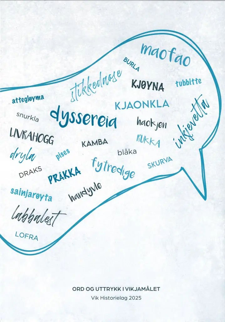 ord_og_uttrykk_vikjamål_2.webp