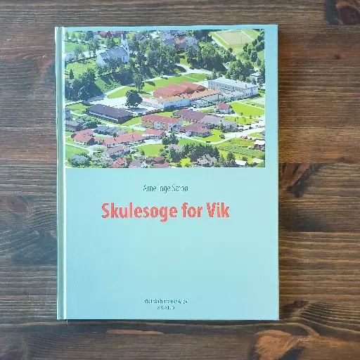 Skulesoge for Vik